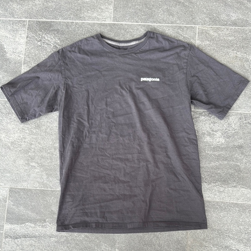 Patagonia Gray Men's Shirt